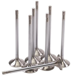 GSC Power-Division Super Alloy +1mm Head Exhaust Valve for the 5.0L Coyote GEN 3 Motor Vehicle Engine Parts GSC POWER DIVISION