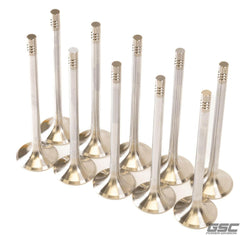 GSC Power Division Super Alloy Exhaust Valves for Audi R8 5.2L / Lamborghini Huracán 5.2L V10 Motor Vehicle Engine Parts GSC POWER DIVISION