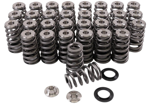 GSC Power-Division Ovate Conical Spring kit for the Gen 1/2 Ford Coyote Motor Vehicle Engine Parts GSC POWER DIVISION   