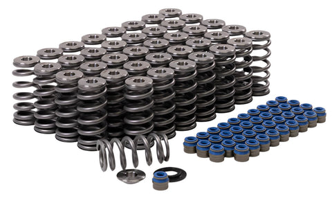 GSC Power-Division Beehive Valve Spring kit for Audi R8/Lamborghini Huracan