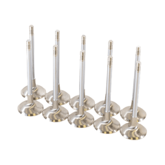 GSC Power Division Intake Valves for Audi R8 5.2L V10 / Lamborghini Huracán 5.2L V10 / Audi 2.5L Daza/DNWA Engines Motor Vehicle Engine Parts GSC POWER DIVISION