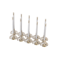 GSC Power Division Intake Valves for Audi 2.5L Daza/DNWA Engines — manufacturer product image 1